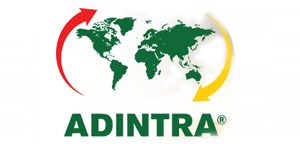 Adintra